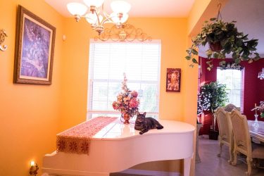 Title on Photo and Gallery shortcode